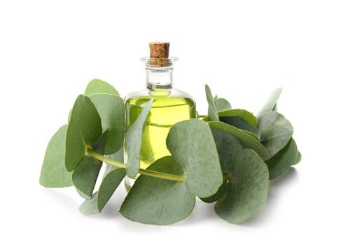 Huile d'eucalyptus dans le cadre de la crème ZXCVBNQWERT