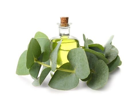 Huile d'eucalyptus dans le cadre de la crème démyxil